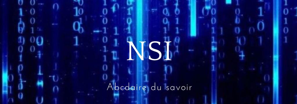 Programme annuel de NSI 1ere